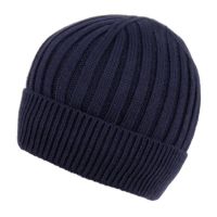 MEN'S CABLE BEANIE WITH SHERPA FLEECE LINING BN2384
