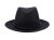 SOLID COLOR WOOL FEDORA W/SELF FABRIC BAND F6077